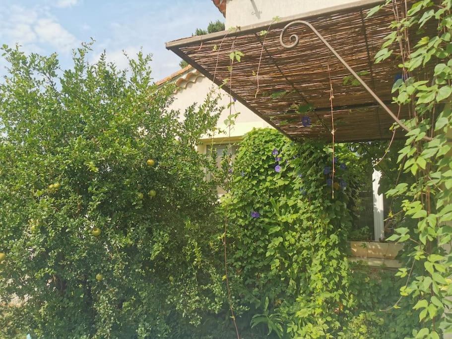 Maison Avec Piscine Dans Village Provencal. Courthézon エクステリア 写真