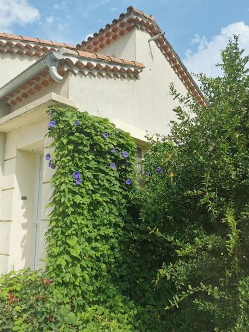 Maison Avec Piscine Dans Village Provencal. Courthézon エクステリア 写真